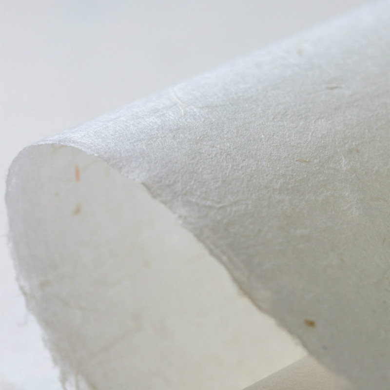 Cina Yunlong Serat Xuan Kertas - Ink Blotter Paper ulasan dan harga